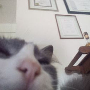 Meet your Posher, Esteban